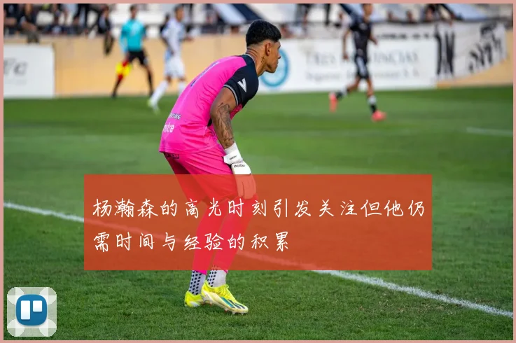 杨瀚森的高光时刻引发关注但他仍需时间与经验的积累