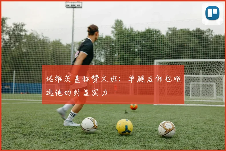 诺维茨基称赞文班：单腿后仰也难逃他的封盖实力