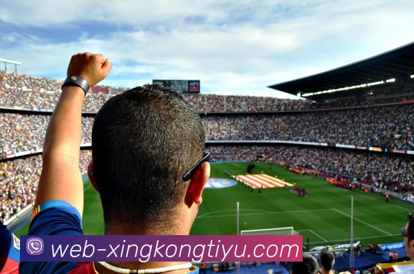 App Interface Preview