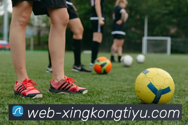 星空体育APP 封面图